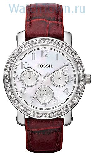 Fossil ES2981