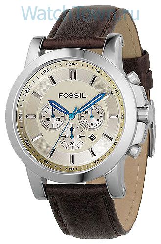 Fossil FS4248