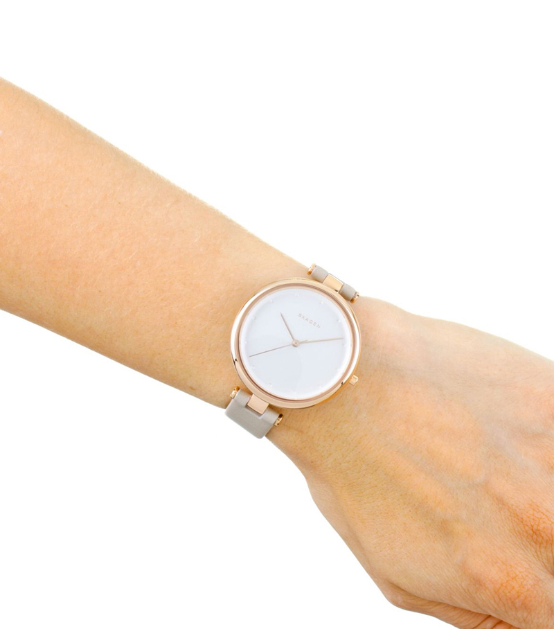 Skagen SKW2484