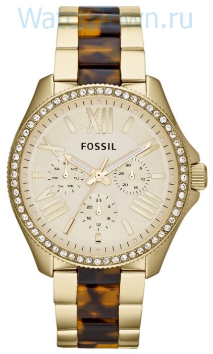 Fossil AM4499