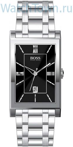 Hugo Boss HB1512383