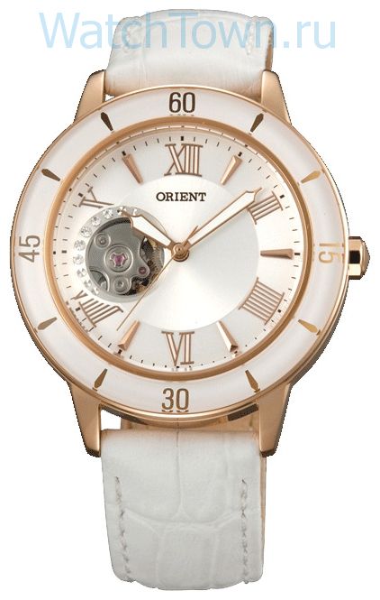 Orient DB0B001W