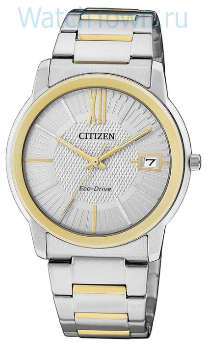 Citizen FE6014-59A