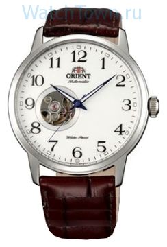 Orient DB08005W