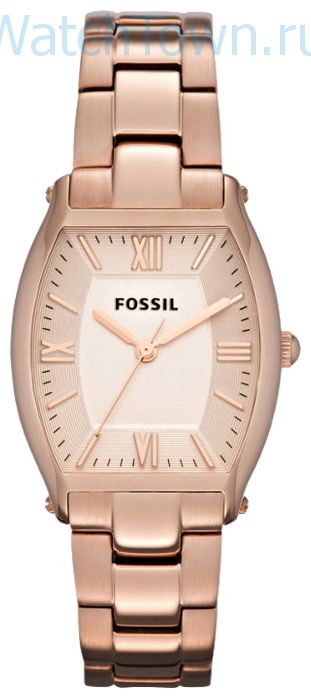 Fossil ES3120