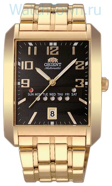 Orient FPAA001B