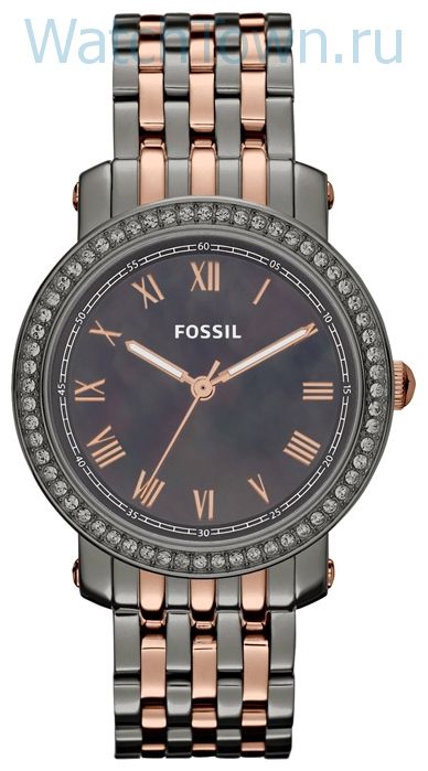 Fossil ES3115