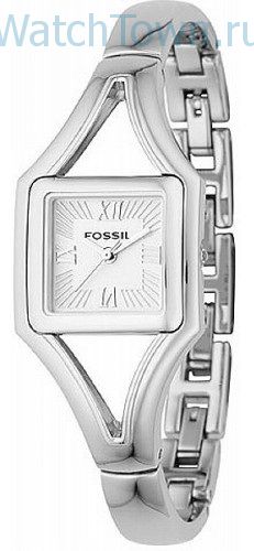 Fossil ES2012