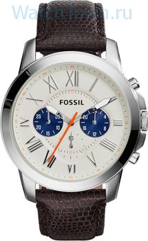 Fossil FS5021