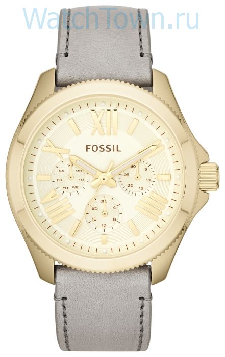 Fossil AM4529