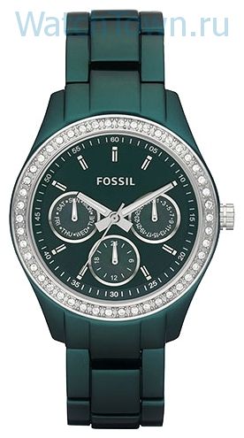 Fossil ES2951