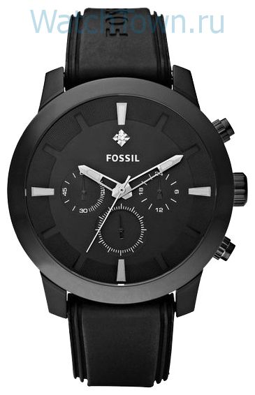 Fossil FS4619