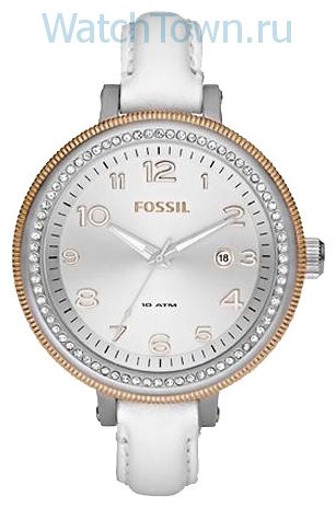 Fossil AM4362