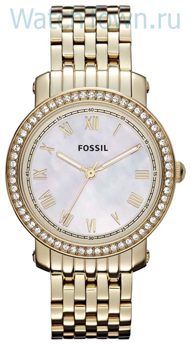 Fossil ES3113