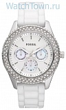 Fossil ES3001