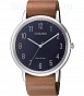 Citizen BJ6501-10L